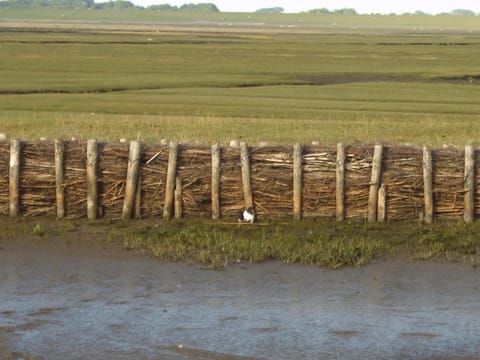 Ferienhaus Pölig House in Sankt Peter-Ording