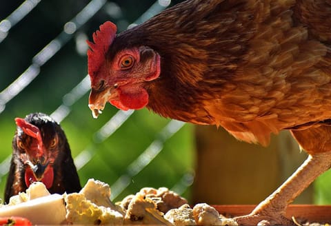 Charming 2-Bed Cabin in Domfront-en-Poiraie Cabin in Normandy