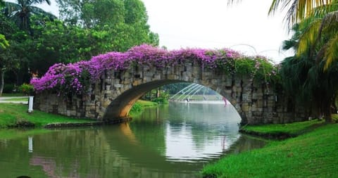 Nearby landmark, Natural landscape, Garden, Garden, Lake view