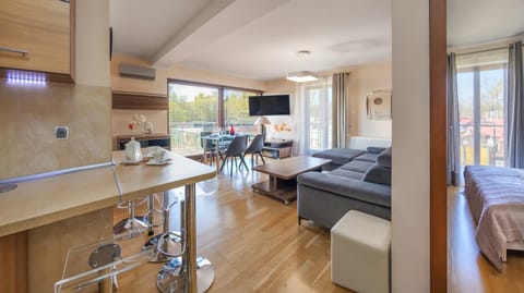 TV and multimedia, Kitchen or kitchenette, Living room, Seating area, Dining area