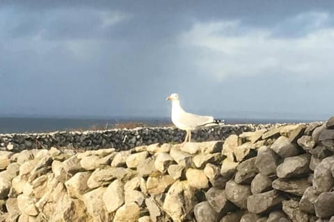 Wild Atlantic Way Apartment Apartment in County Clare