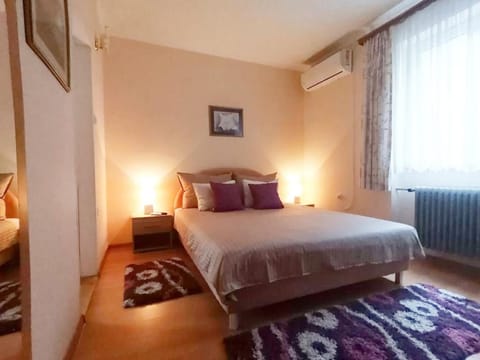Sandrea Studio Apartment Apartment in Vojvodina