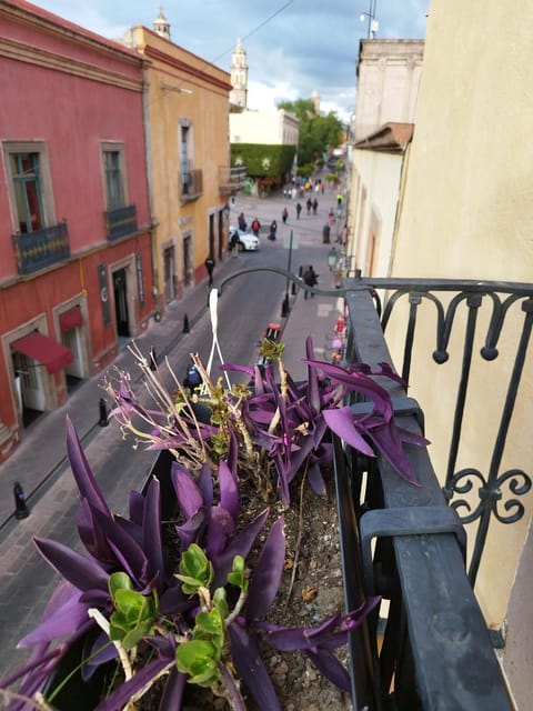 Property building, Day, View (from property/room), Balcony/Terrace, Balcony/Terrace, City view, Street view, Location
