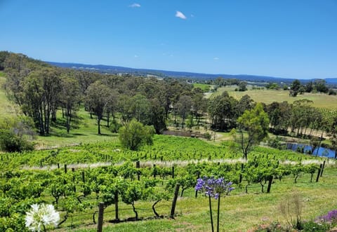 Spring, View (from property/room), Mountain view