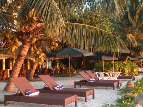 Beach, sunbed