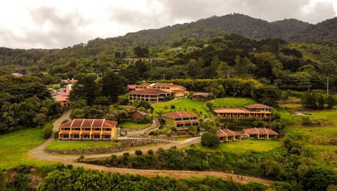 Property building, Natural landscape, Bird's eye view