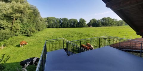 Balcony/Terrace, Garden view