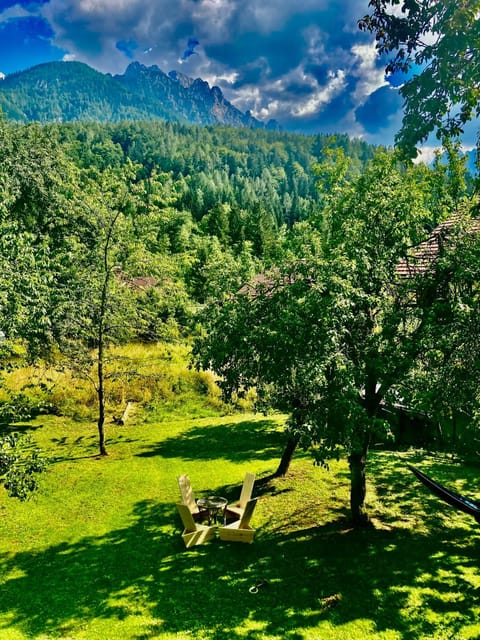 Garden, Garden, View (from property/room), Garden view