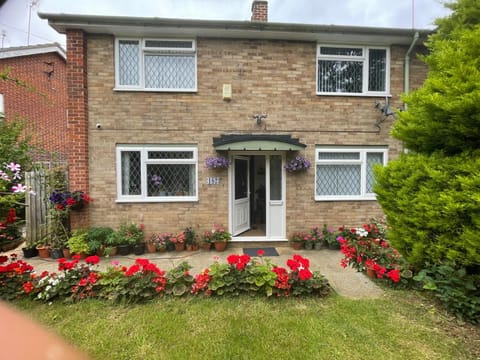 Property building, Garden view