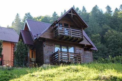 Property building, Balcony/Terrace