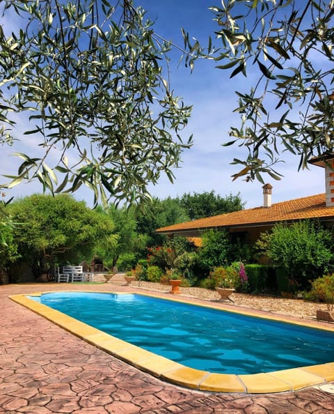 Swimming pool, Swimming pool