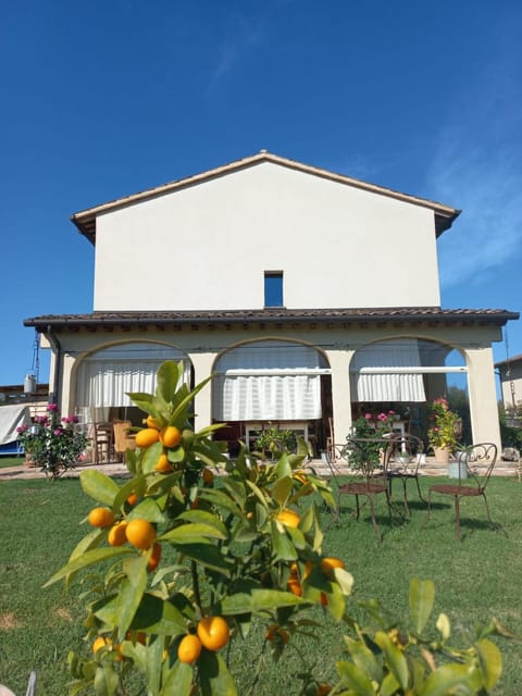 Property building, Garden view