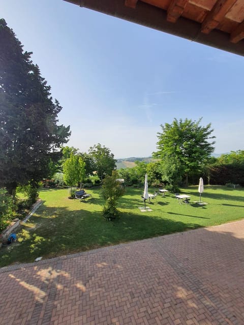 Garden, Garden, Garden view