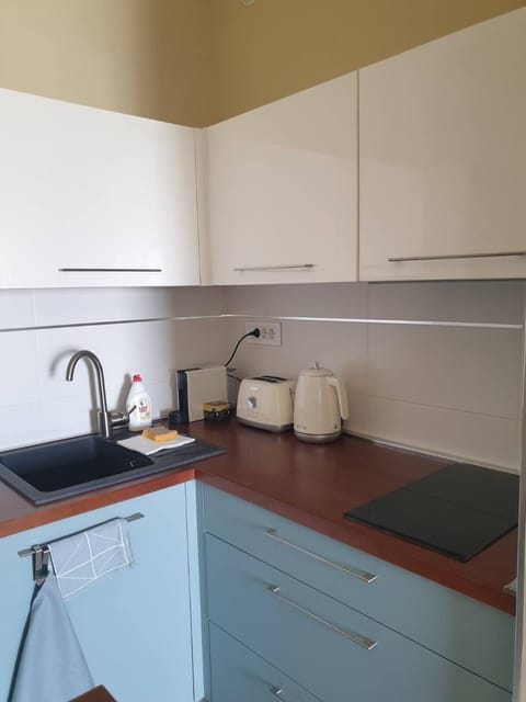 Blues Apartment Private parking Apartment in Novi Sad