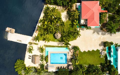 Bird's eye view, Pool view, Swimming pool