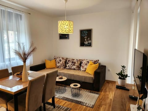 Apartman Stojanović Zlatibor Apartment in Zlatibor