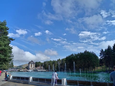 Apartman Stojanović Zlatibor Apartment in Zlatibor