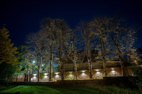 Night, Garden, Garden view