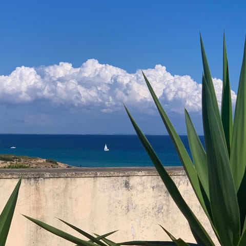 Day, Natural landscape, Sea view