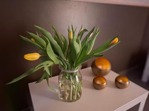 L'antre parenthèse House in Trois-Ponts