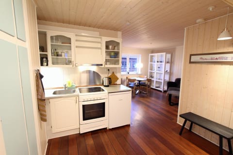 Living room, kitchen