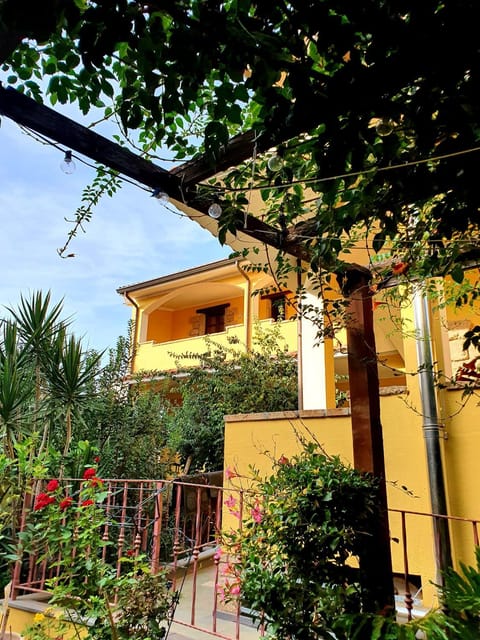 Garden, Garden