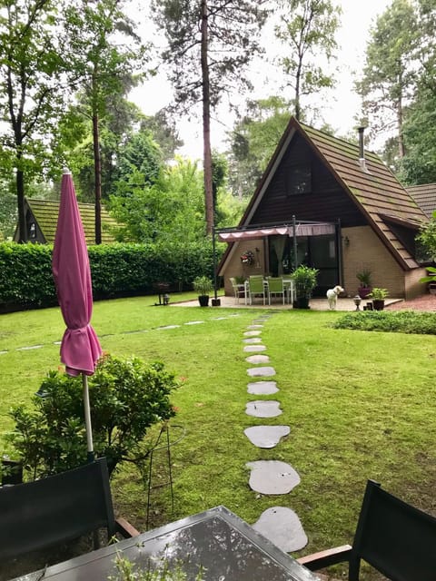 La Casita E41 House in Limburg (province)