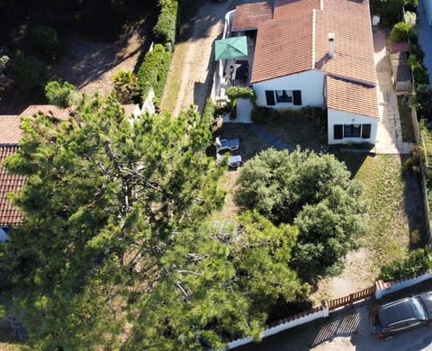 Property building, Bird's eye view, Garden
