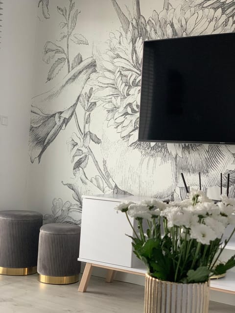 Communal lounge/ TV room, Living room, Seating area