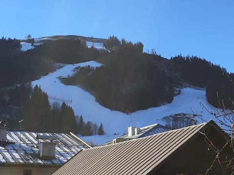 Toni Sailer Haus apartment Apartment in Kitzbuhel