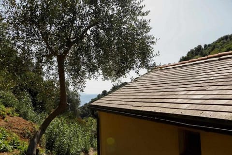 L'Eremo-Rifugio escursionistico10 min steep walk! Farm Stay in Liguria