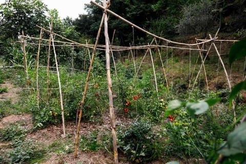 L'Eremo-Rifugio escursionistico10 min steep walk! Farm Stay in Liguria