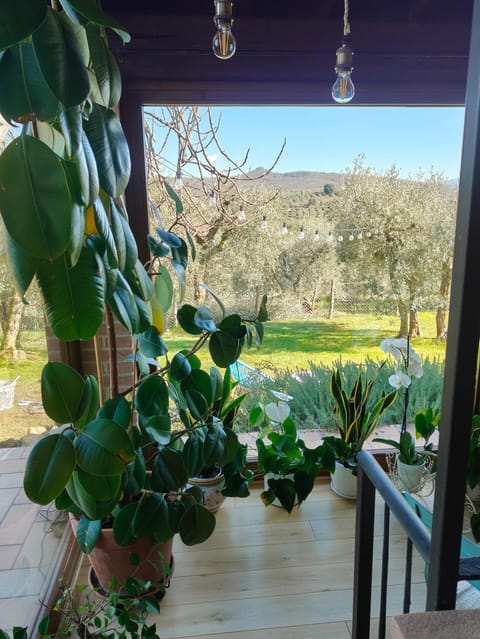 Cottage La Dolce Agogia Panicale House in Umbria
