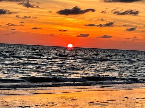 Beachfront Condo Ocean View Apartment hotel in Saint Pete Beach