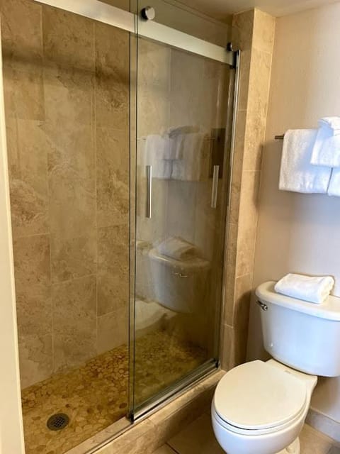 Beachfront Condo Ocean View Apartment hotel in Saint Pete Beach