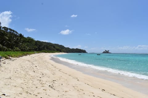 Natural landscape, Snorkeling, Beach