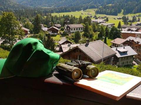 Day, Natural landscape, View (from property/room), City view