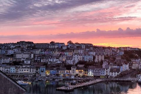 Luxury dog friendly home in Brixham harbour with sea views and free parking Apartment in Brixham