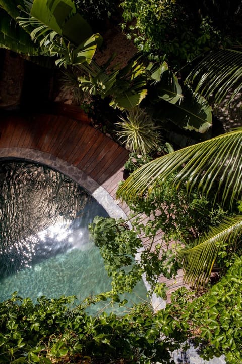 Day, Garden, Pool view