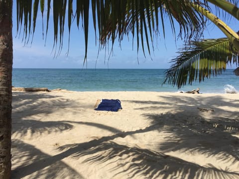 Natural landscape, Beach, Sea view