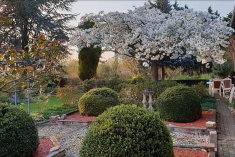 Spring