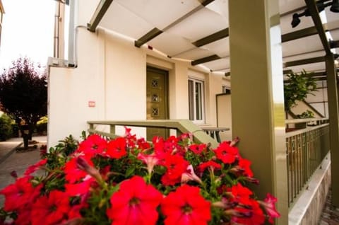 Thalassoperasma Apartment in Decentralized Administration of Macedonia and Thrace