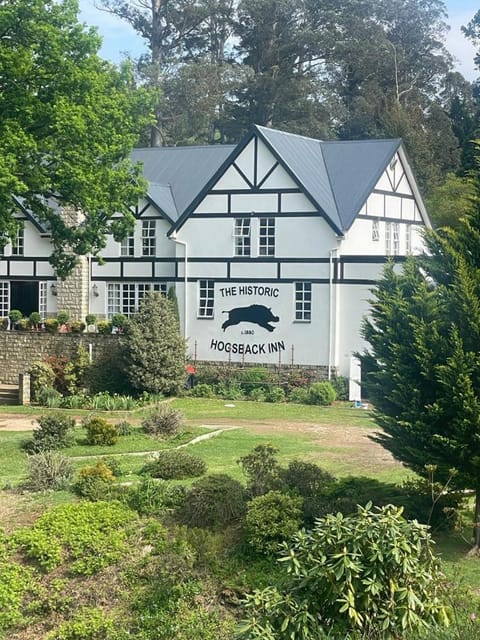 Property building, Garden view