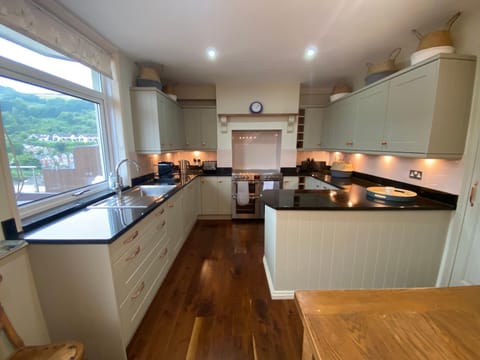 View (from property/room), Kitchen or kitchenette, Landmark view, dishwasher, stove