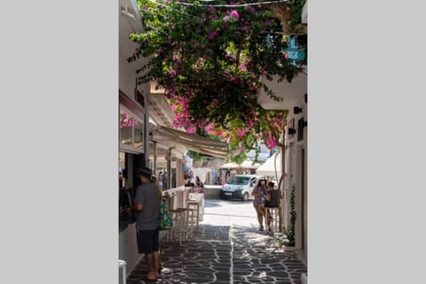 Soso's House Apartment in Naousa