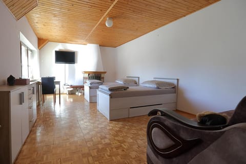 Bed, TV and multimedia, Photo of the whole room, flat iron
