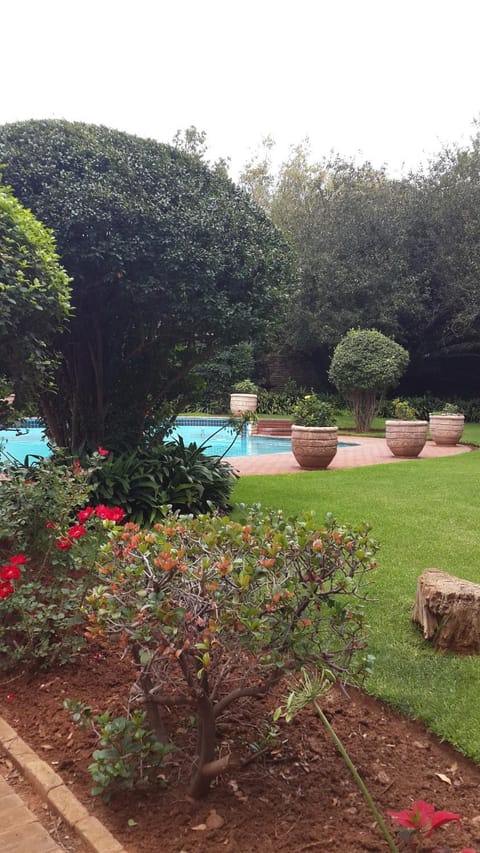 Garden, Swimming pool