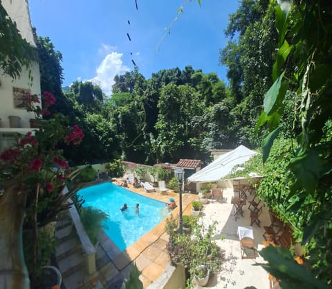 Day, Garden, Swimming pool, sunbed