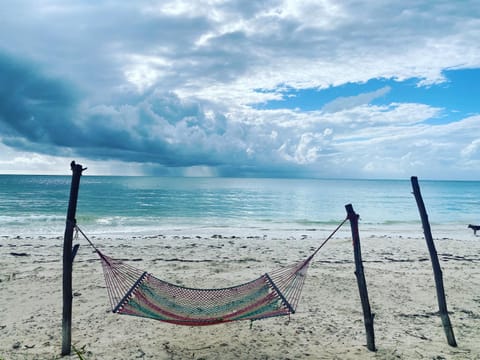 Beach, Beach