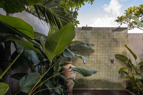 Shower, Day, Garden, Garden view
